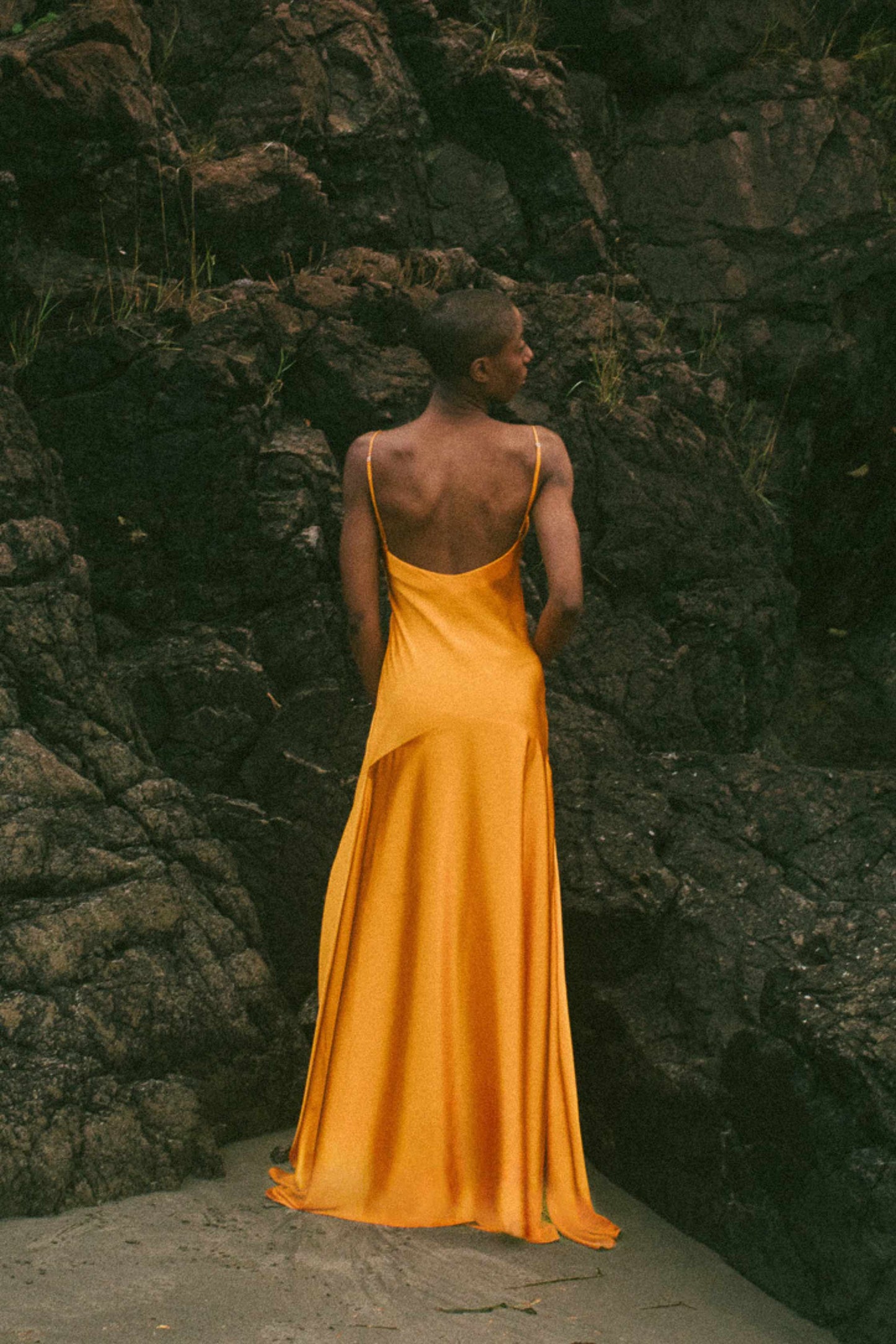 Delphine Bias Cut Silk Gown
