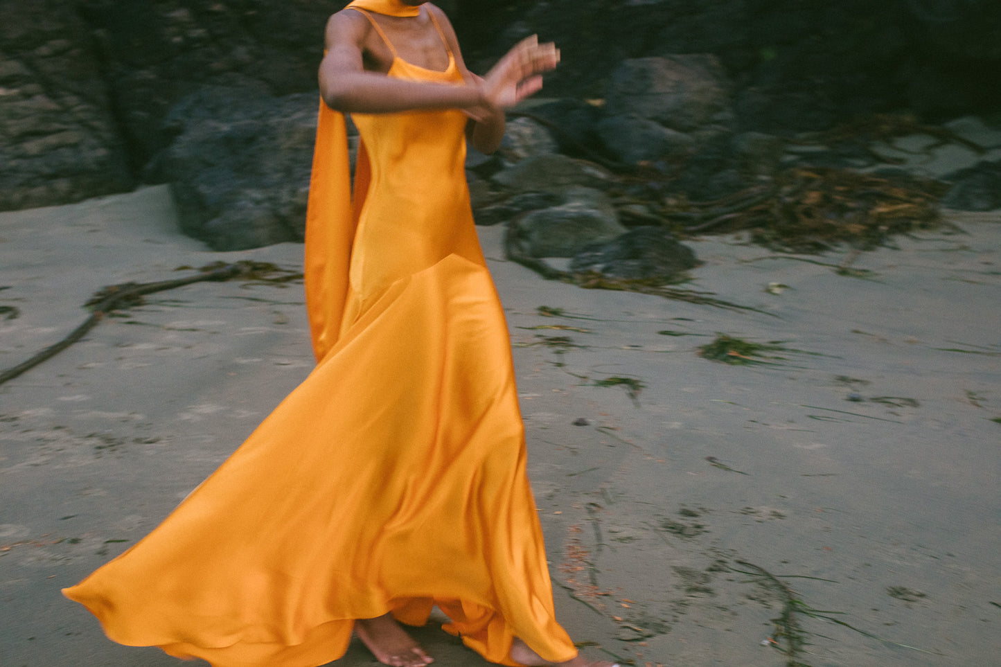 Delphine Bias Cut Silk Gown