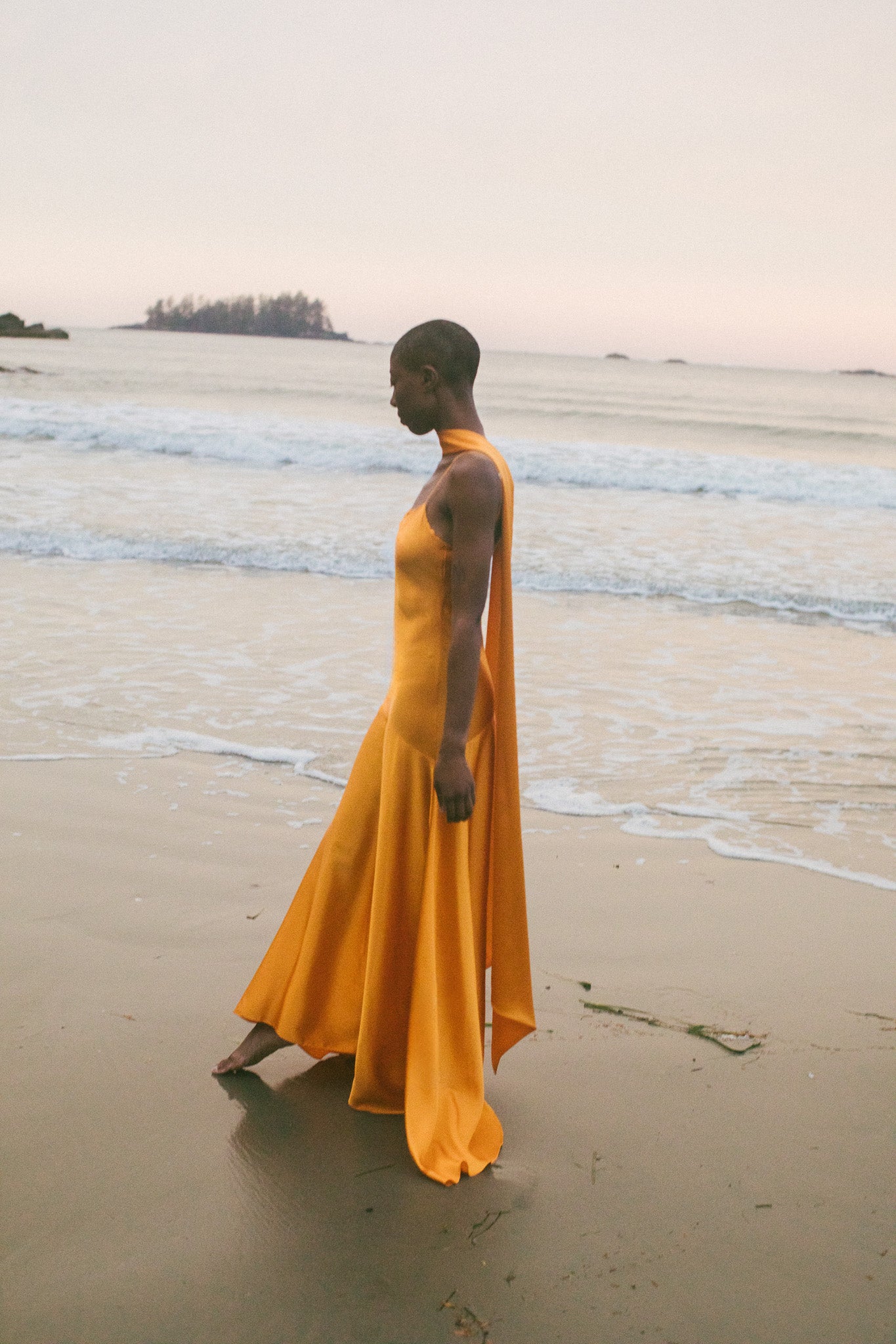 Delphine Bias Cut Silk Gown