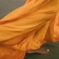 Delphine Bias Cut Silk Gown